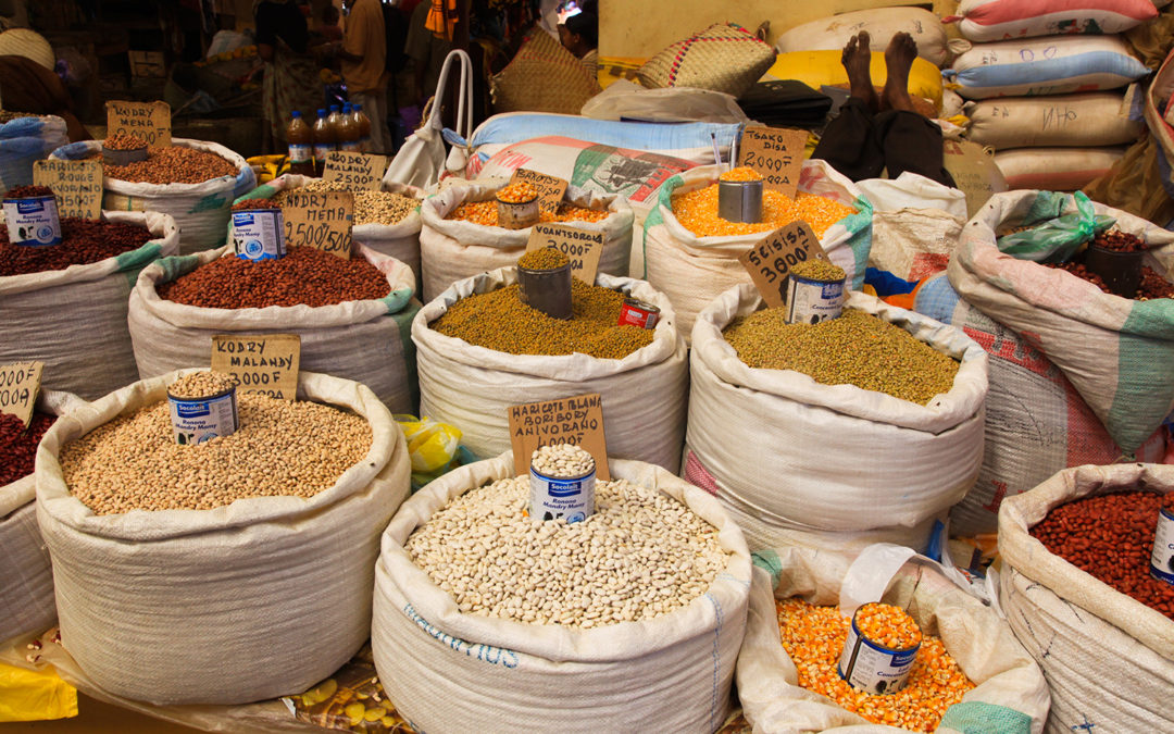 Senegal | Diaspora support to rural areas