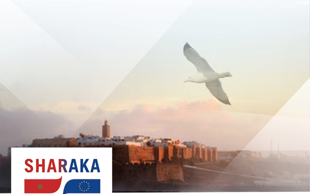 Maroc | Pratiques de mobilisation des diasporas