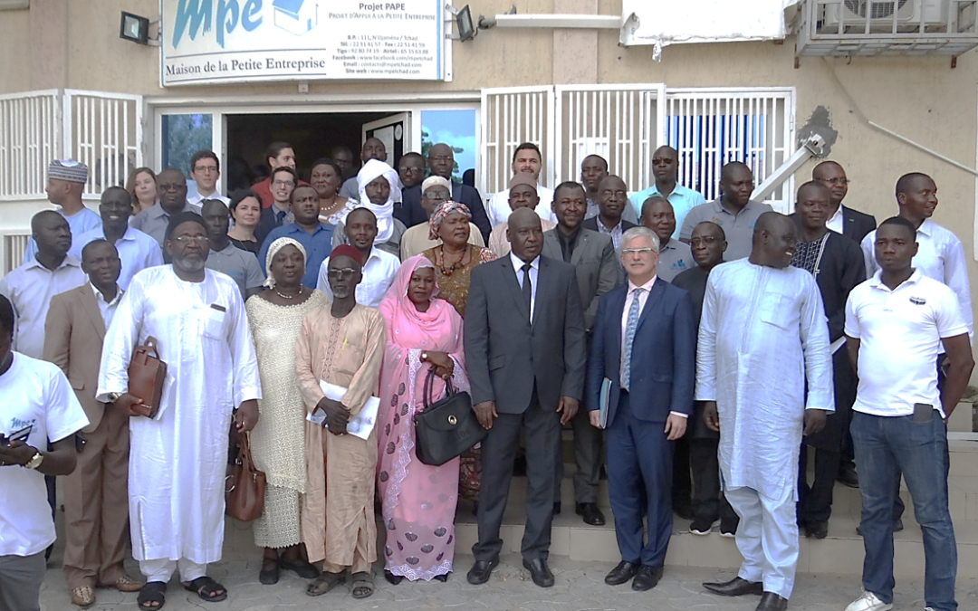 Chad | Technical assistance for the implementation of the SME support program (phase 2)