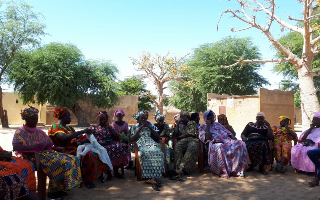 Guinée | Etude de faisabilité « Entrepreneures »