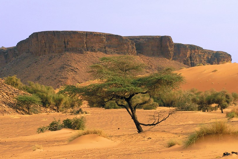 Mauritania | Entrepreneurship