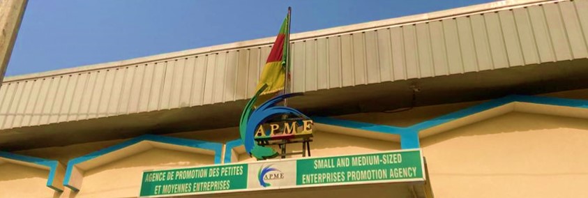 Cameroon | Technical assistance APME