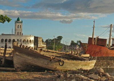 Comoros | Diaspora profiling study