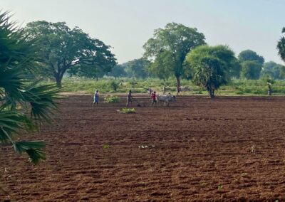 Tchad | Appui à la supervision du Projet Entrepreneuriat Agroalimentaire