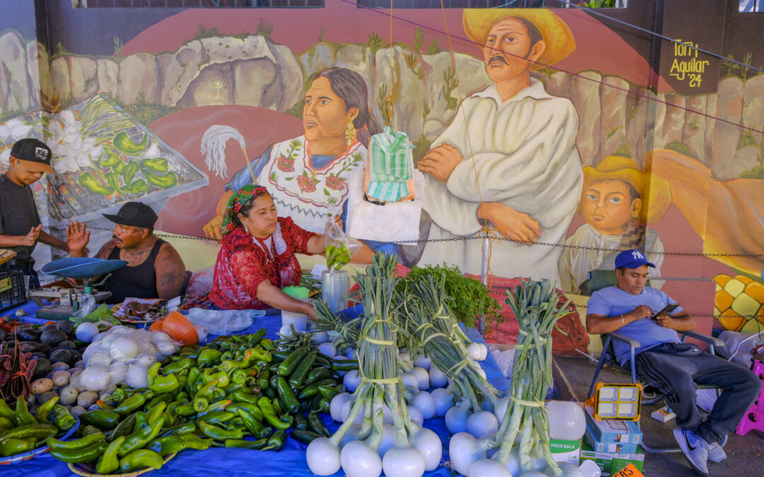 Colombie | Faisabilité financement entrepreneuriat