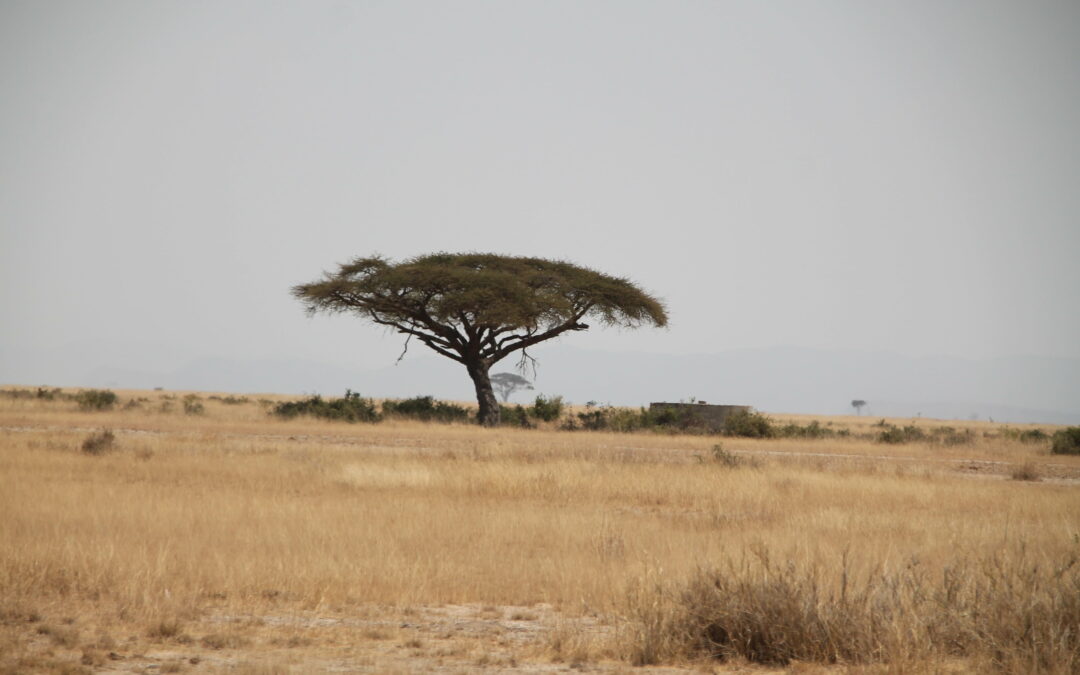 Corne de l&rsquo;Afrique | Mobilité climatique
