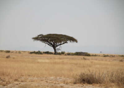 Horn of Africa | Climate mobility